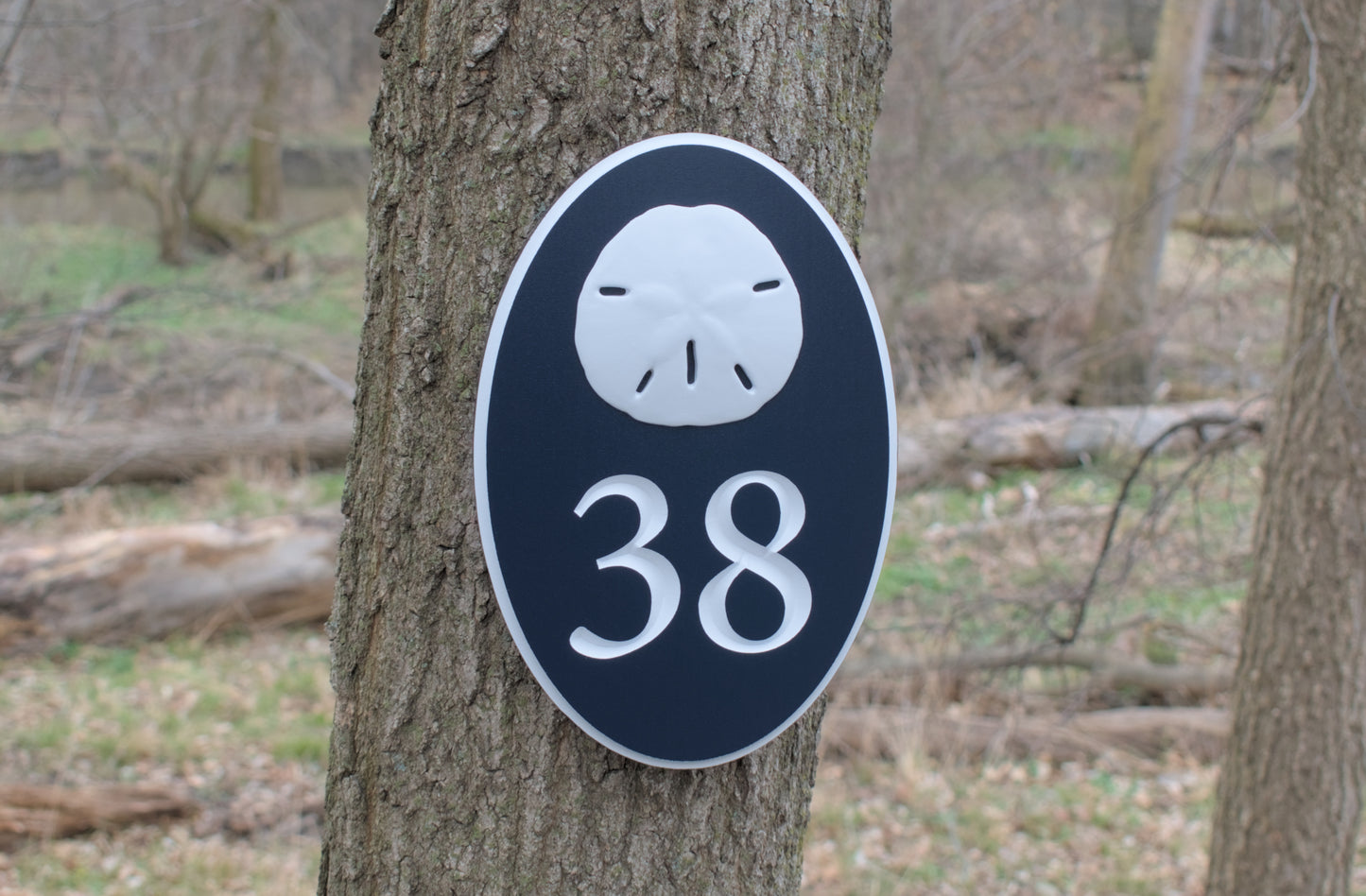 Vertical Oval Carved Address Plaque With Sand Dollar