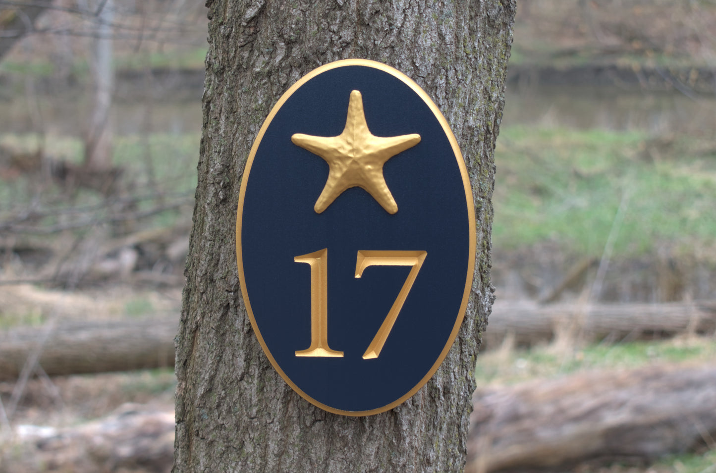 Vertical Oval Carved Address Plaque With Starfish