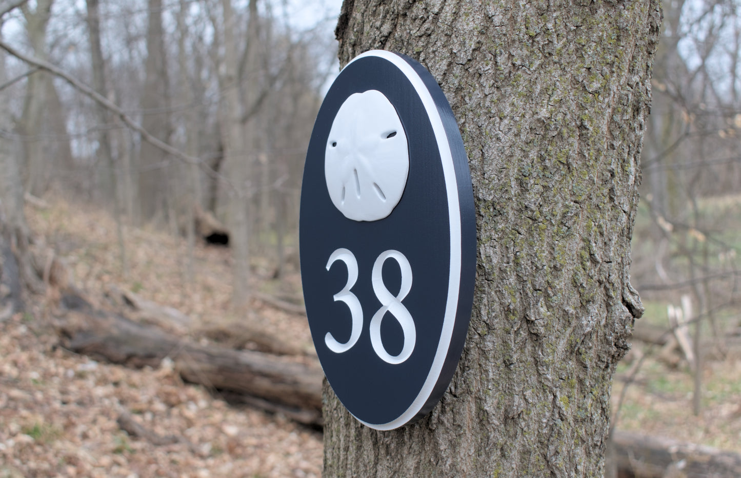 Vertical Oval Carved Address Plaque With Sand Dollar