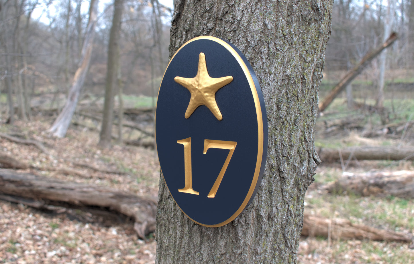 Vertical Oval Carved Address Plaque With Starfish
