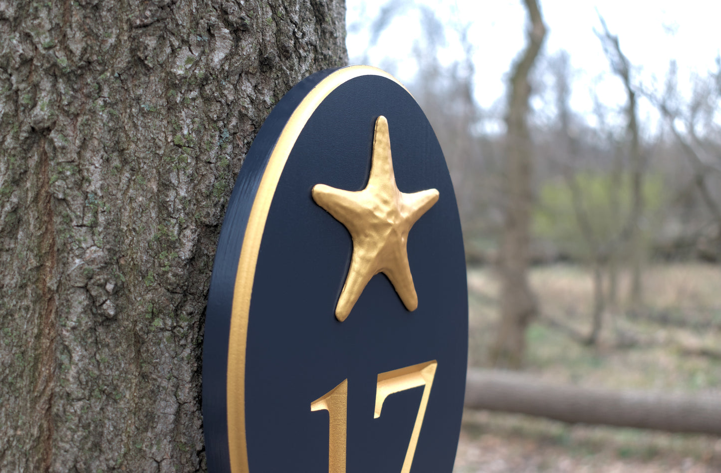 Vertical Oval Carved Address Plaque With Starfish
