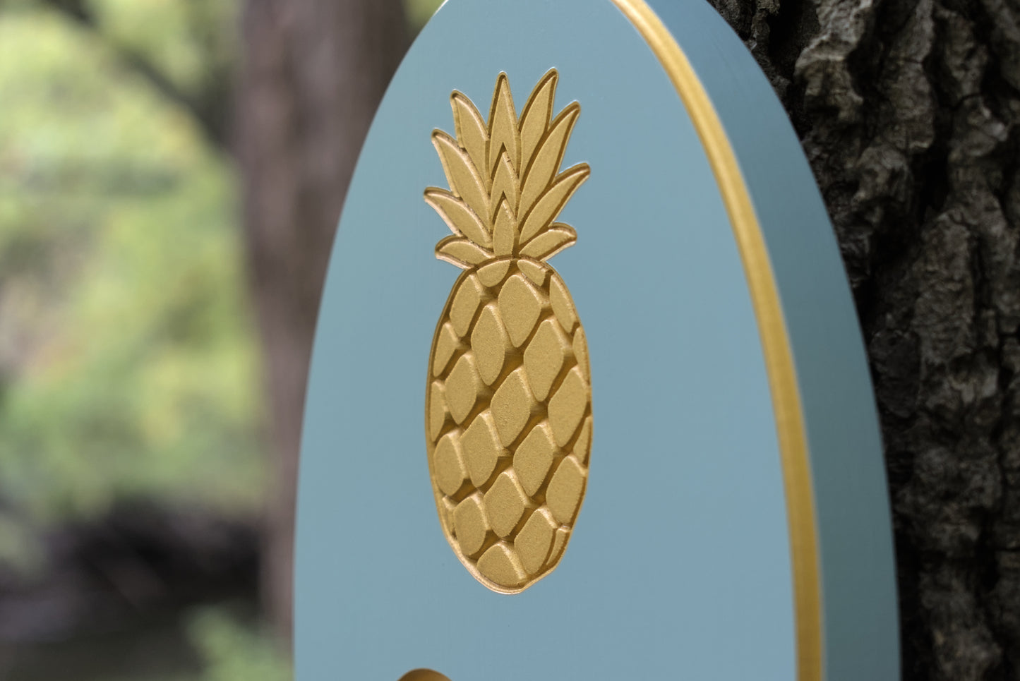 Carved Vertical Oval Address Plaque, Pineapple Design