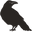Ravenscraft Carving logo