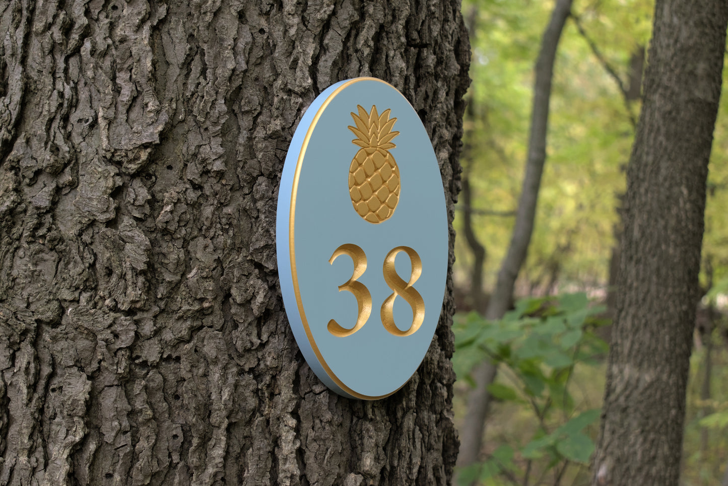 Carved Vertical Oval Address Plaque, Pineapple Design
