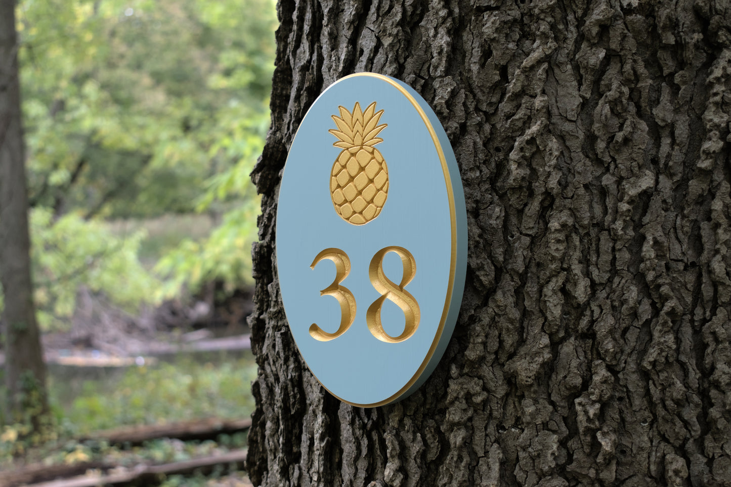 Carved Vertical Oval Address Plaque, Pineapple Design