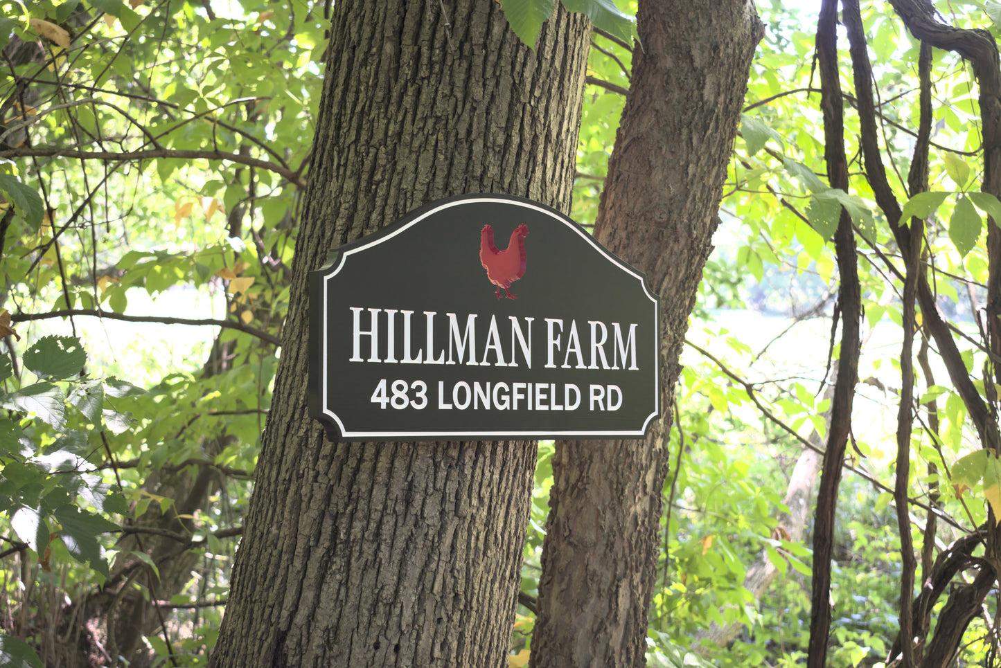 Name And Address Sign With Chicken Design For House, Farm, Cabin