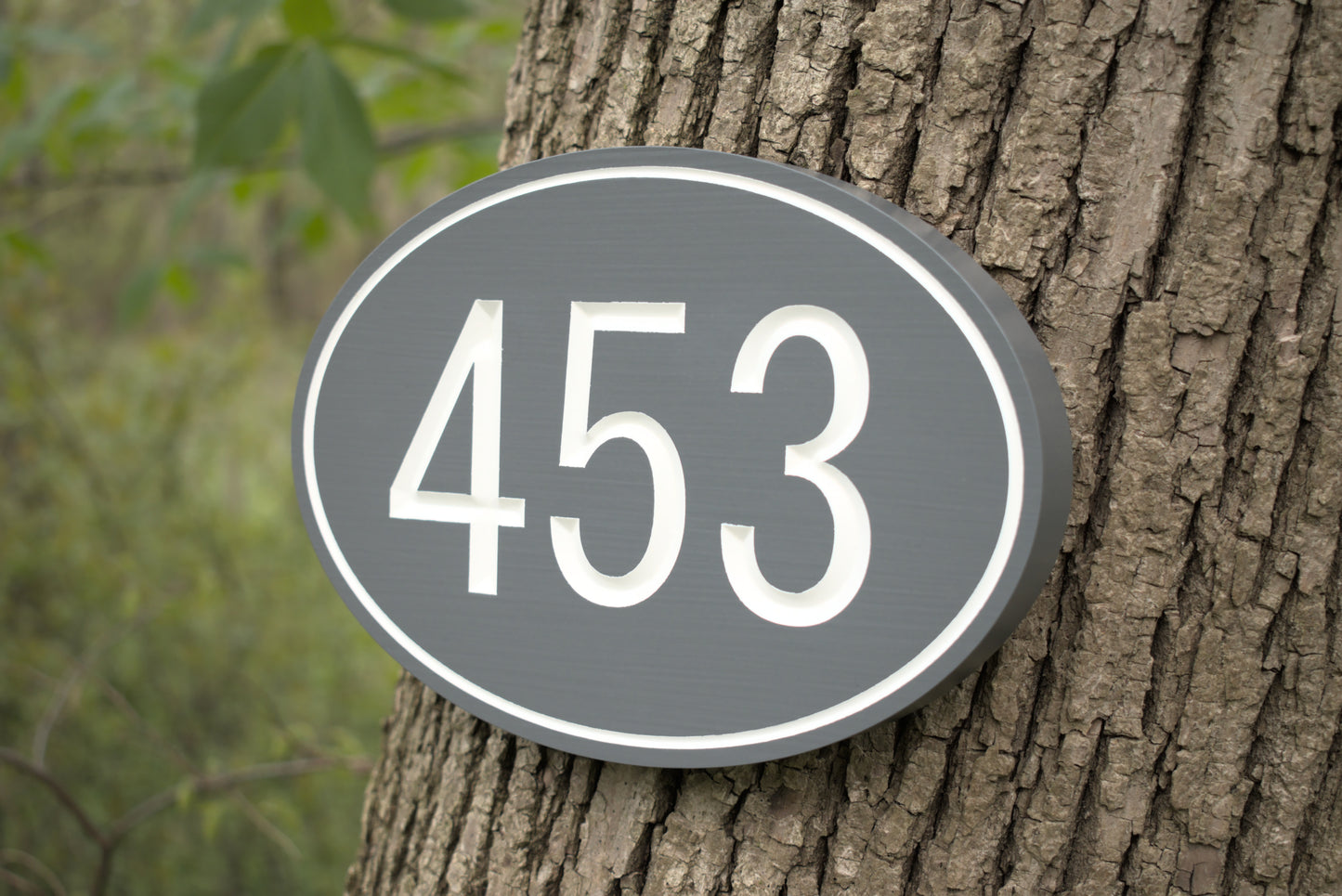 Carved Modern Oval Address Plaque