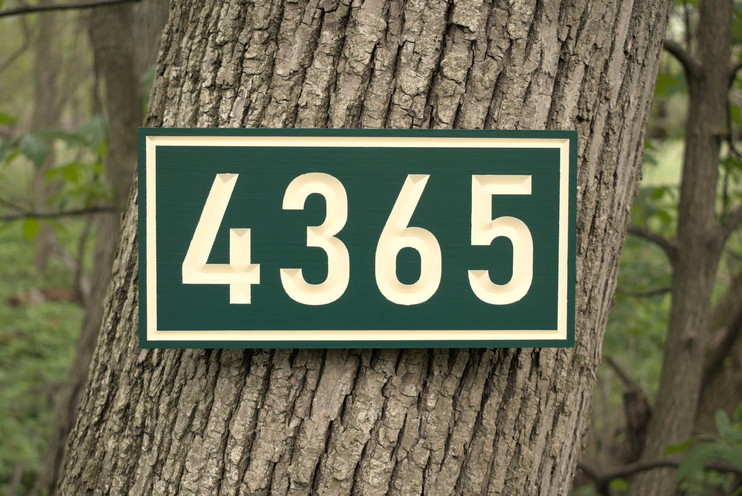 Modern Rectangular Address Plaque